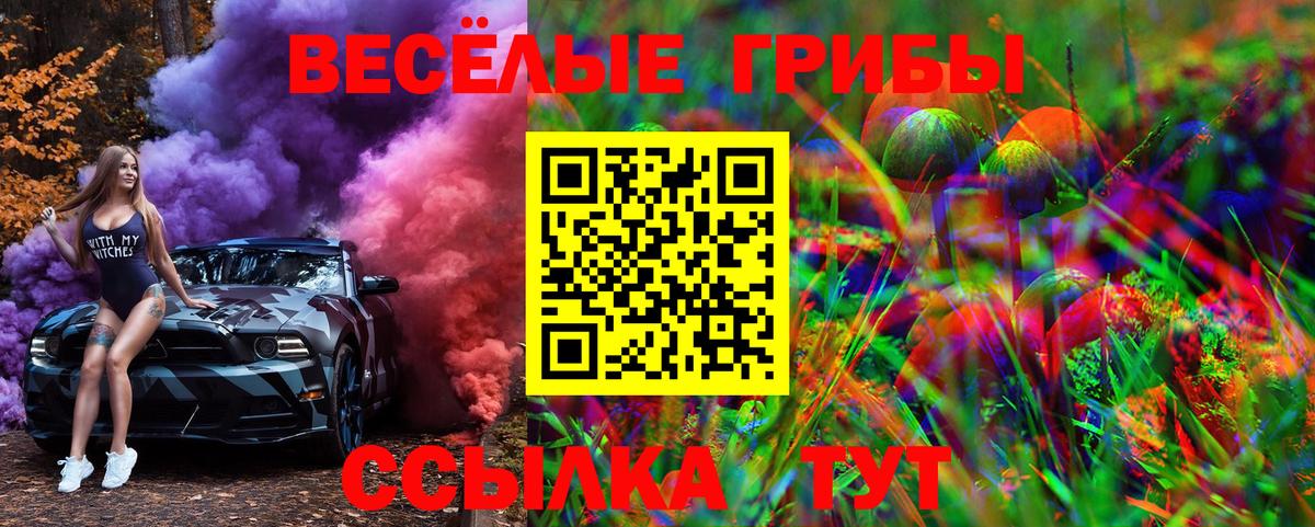 Псилоцибиновые грибы ЛСД Чебаркуль