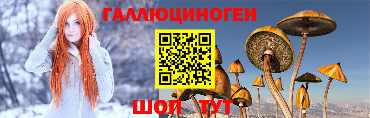 Галлюциногенные грибы Psilocybine cubensis  Вход с VPN  Псилоцибиновые грибы ЛСД  Чебаркуль 
